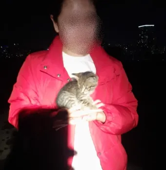 В Уфе спасли котенка, который упал в водосток