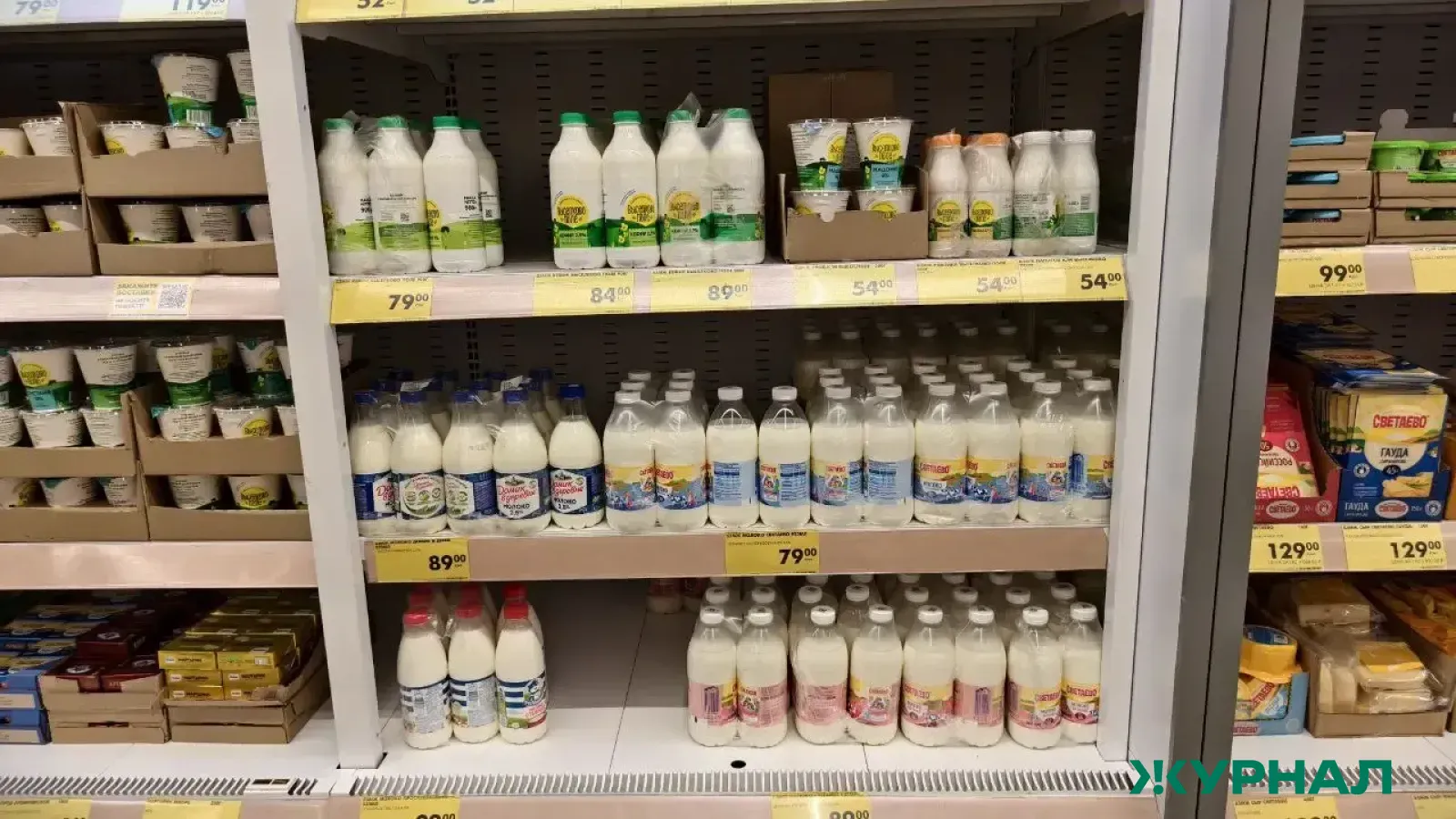 Роспотребнадзор Башкирии предупредил о путях передачи инфекций через молоко