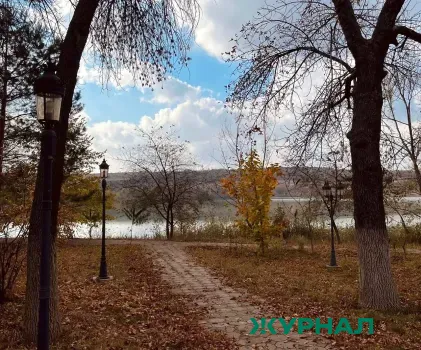 Лесоводы Башкортостана начнут посадку деревьев с 13 апреля