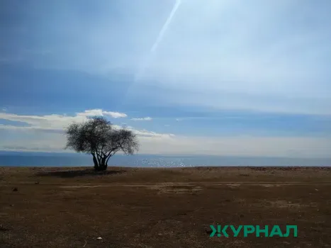 Объявлен аукцион на продажу телятника и земли в Старом Калкаше