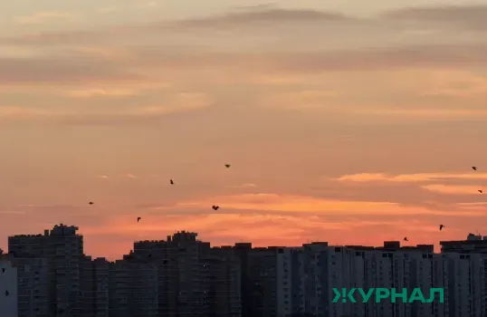 В Уфе стартует V Всероссийская акция «Выбираю чистый воздух»